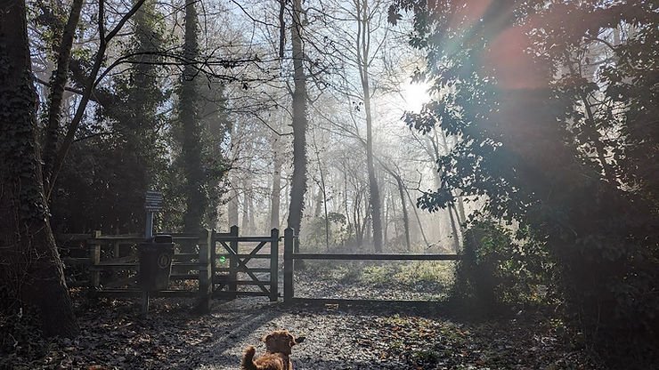 Stunning, fully renovated 2-bed bungalow in Glen Parva